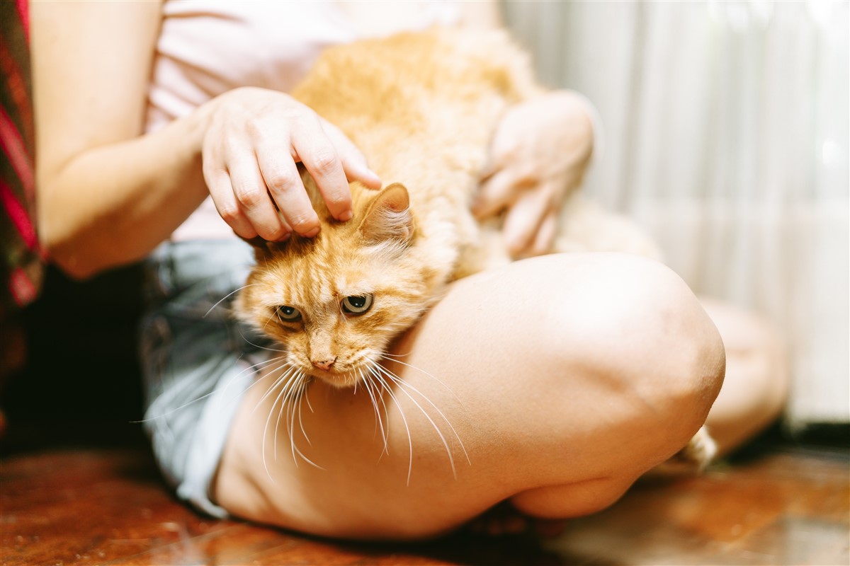 Apprendre les techniques de massage thai