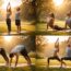 découvrez surya namaskar, une pratique de yoga essentielle pour renforcer votre corps et améliorer votre flexibilité. suivez notre guide complet pour maîtriser cette séquence revitalisante.
